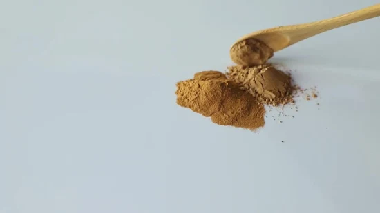 Estratto vegetale di fungo biologico della criniera del leone, polvere di erbe del fungo Hericium Erinaceus Reishi Cordyceps Militaris